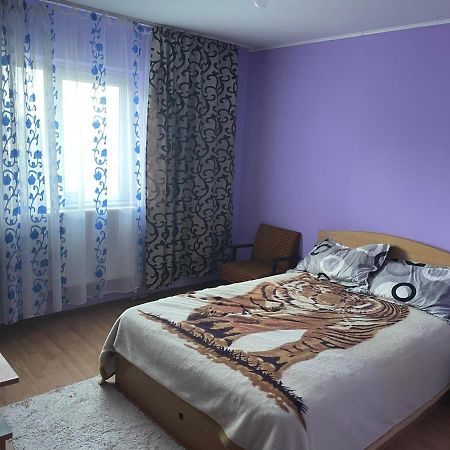 Sofia Rezidence Apartment Dragasani Luaran gambar