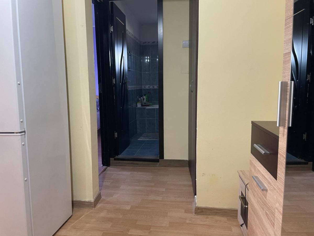 Sofia Rezidence Apartment Dragasani Luaran gambar
